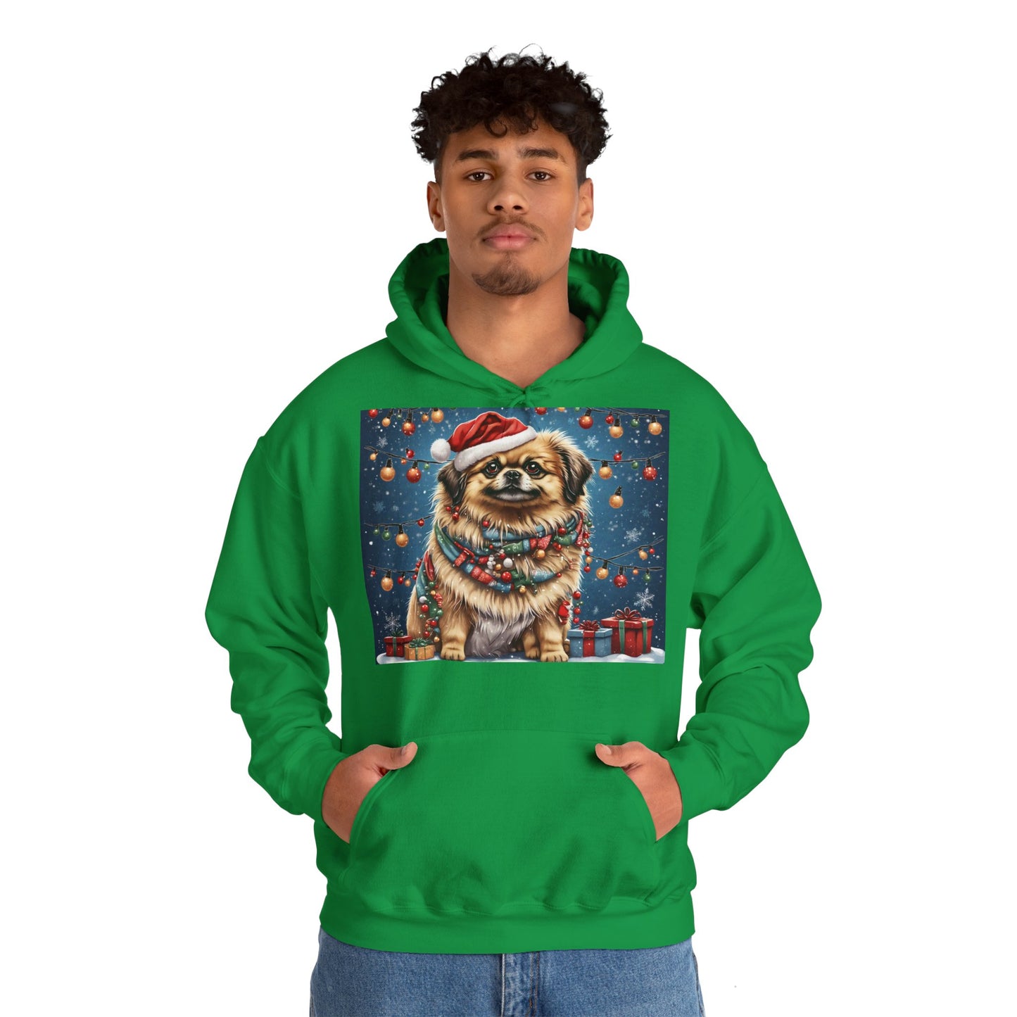 DAM BRAND PUPPY Xmas ed Hoodie S Series Limited