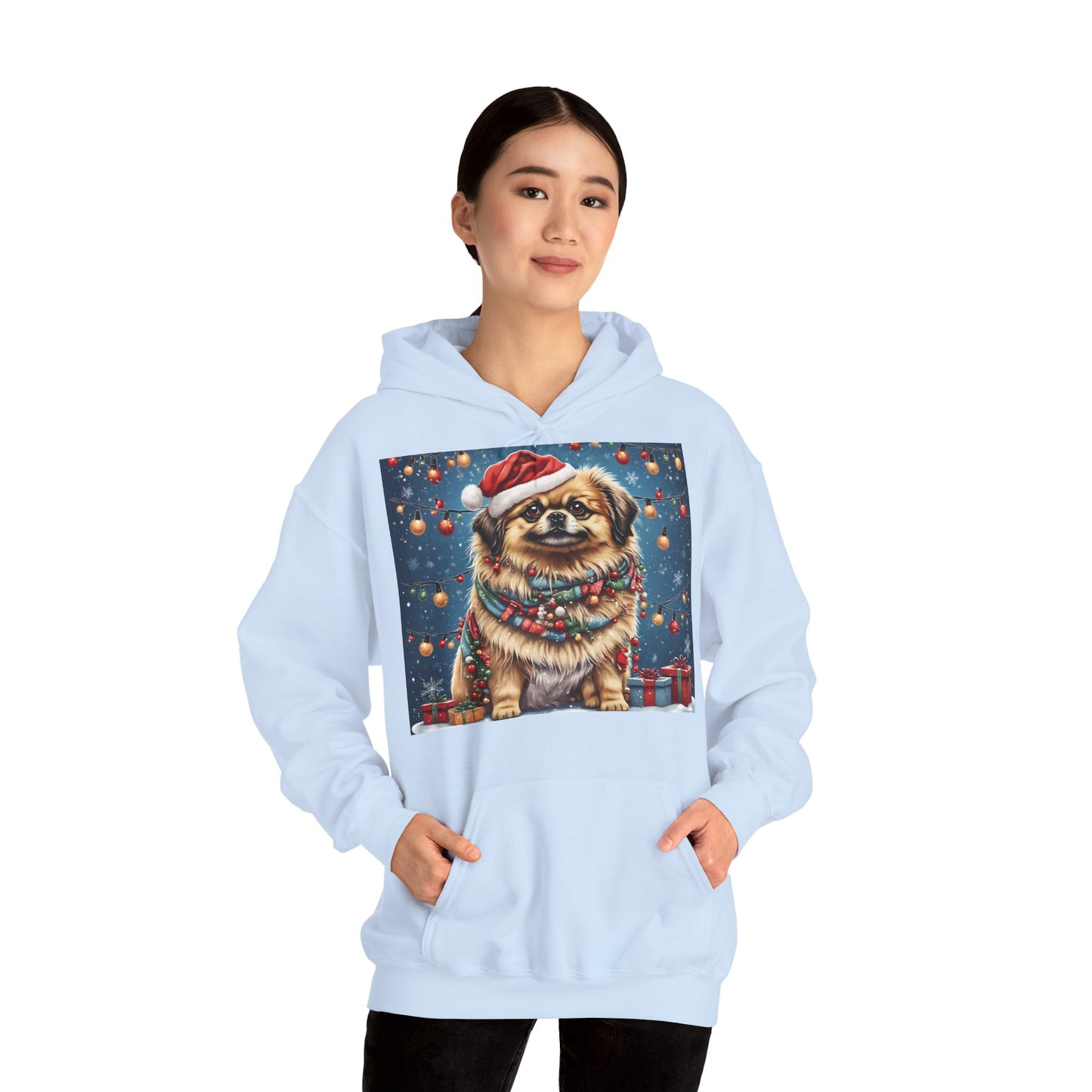 DAM BRAND PUPPY Xmas ed Hoodie S Series Limited