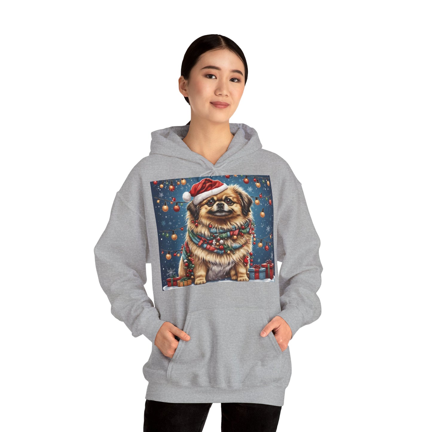 DAM BRAND PUPPY Xmas ed Hoodie S Series Limited