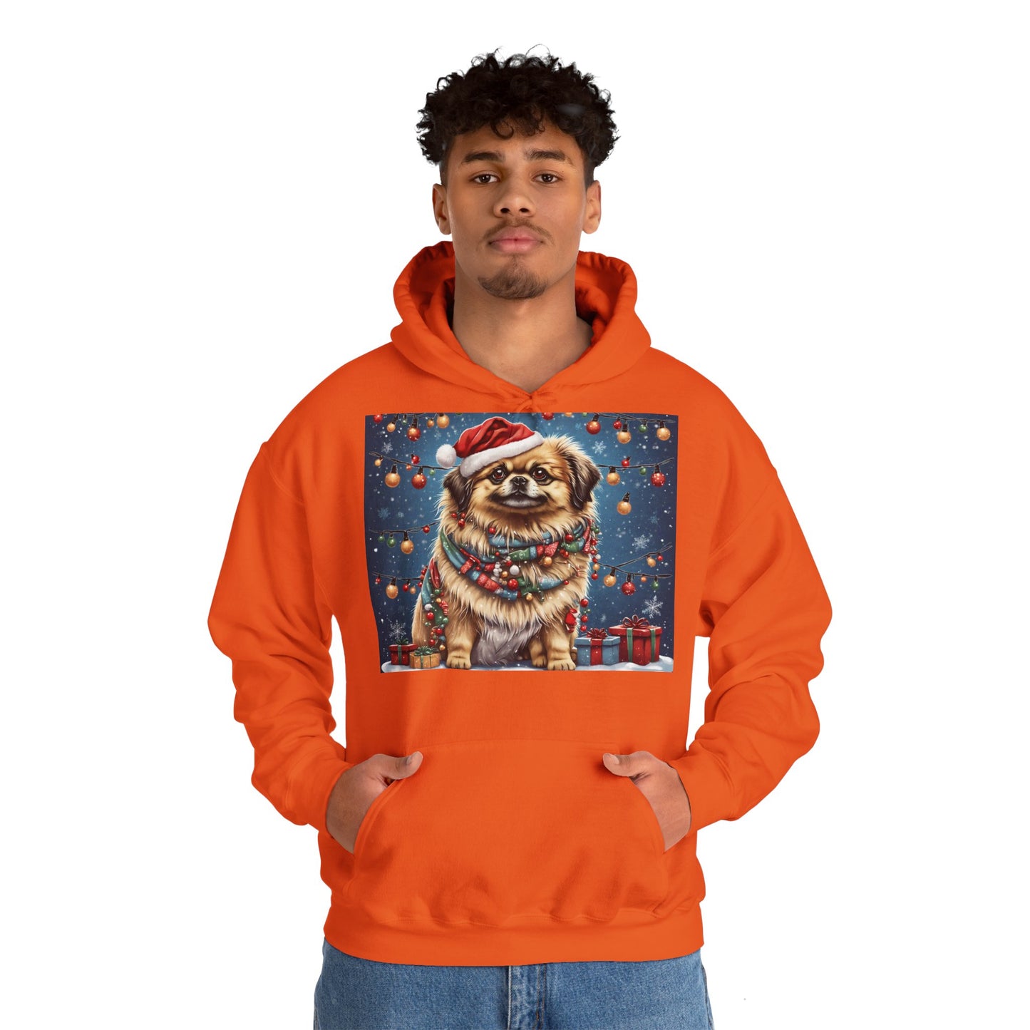 DAM BRAND PUPPY Xmas ed Hoodie S Series Limited