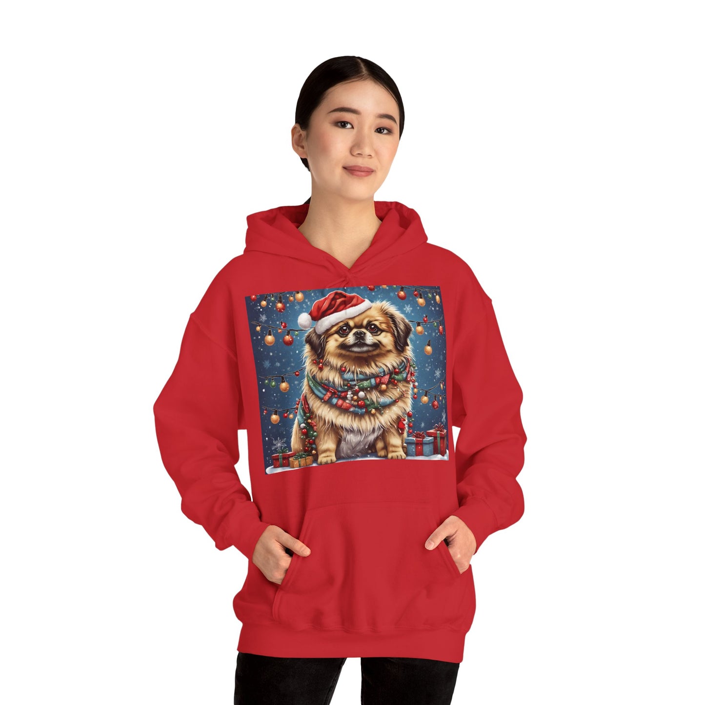 DAM BRAND PUPPY Xmas ed Hoodie S Series Limited