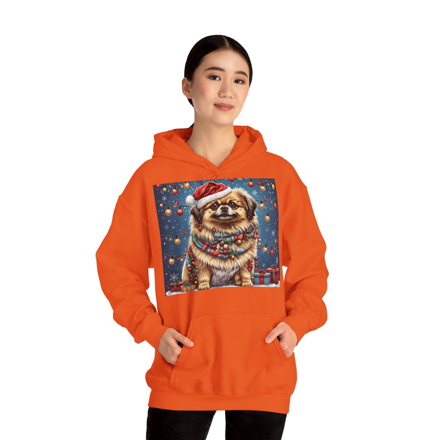 DAM BRAND PUPPY Xmas ed Hoodie S Series Limited