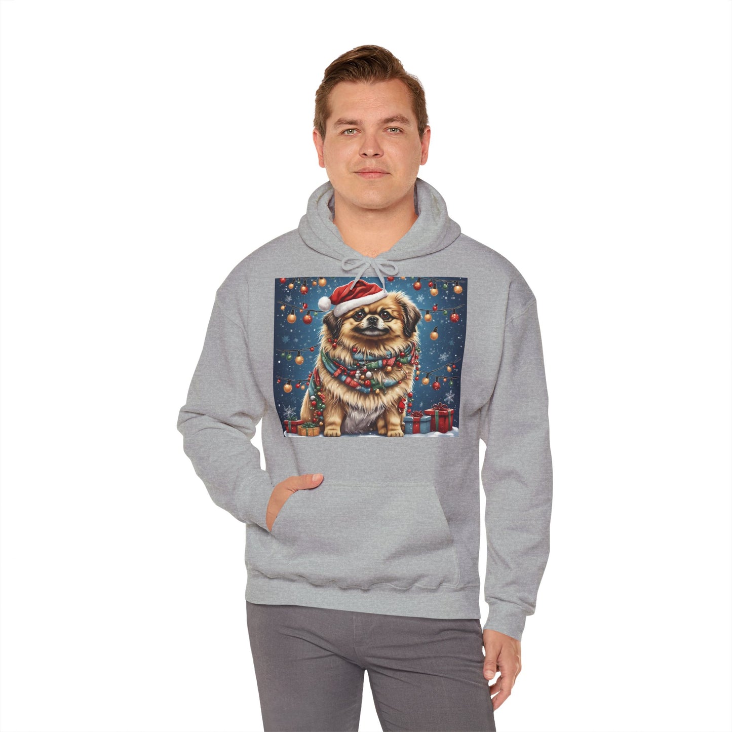 DAM BRAND PUPPY Xmas ed Hoodie S Series Limited