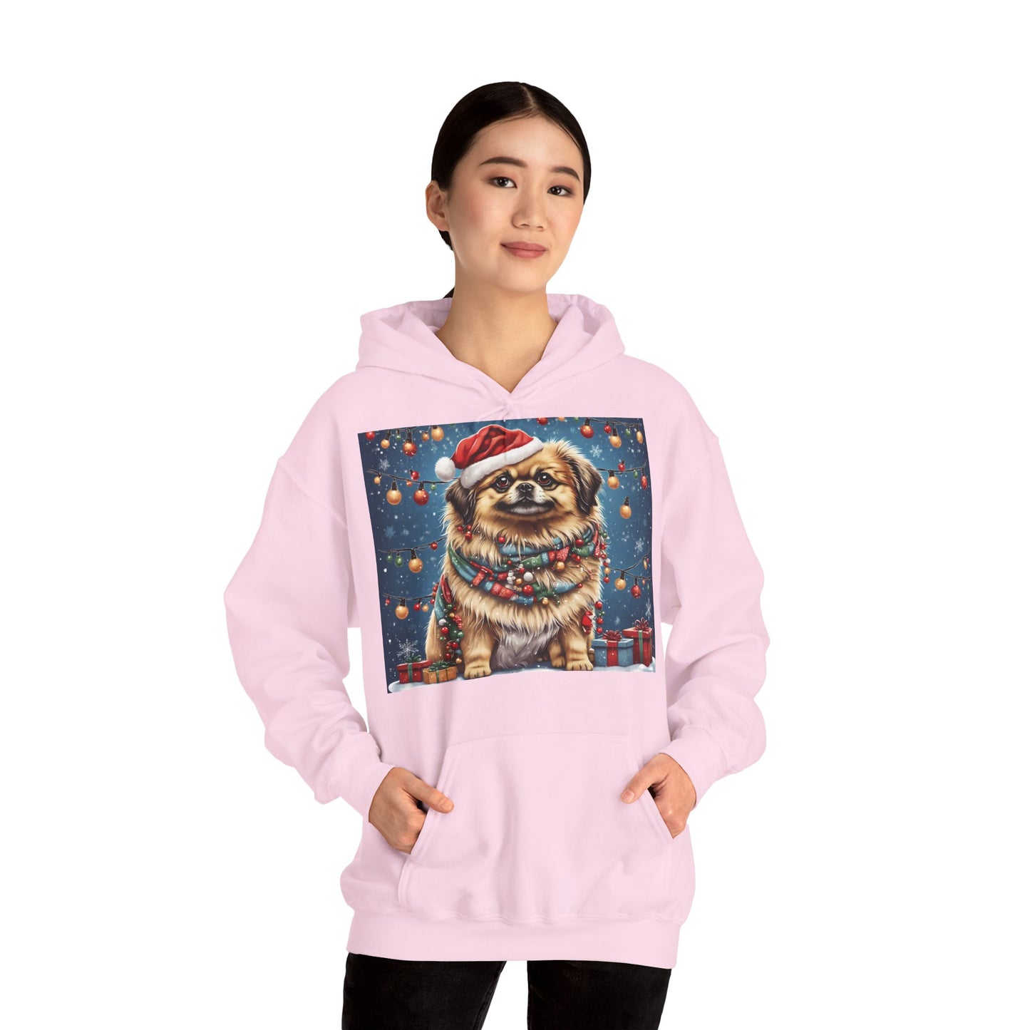 DAM BRAND PUPPY Xmas ed Hoodie S Series Limited