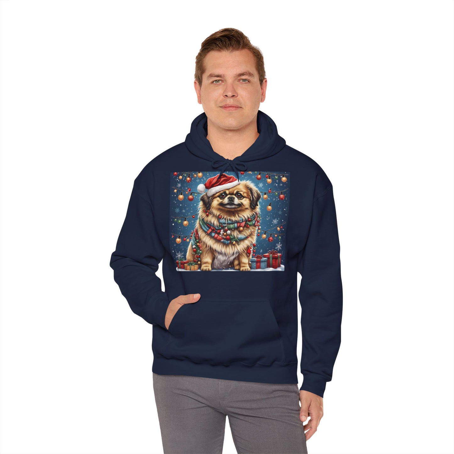 DAM BRAND PUPPY Xmas ed Hoodie S Series Limited