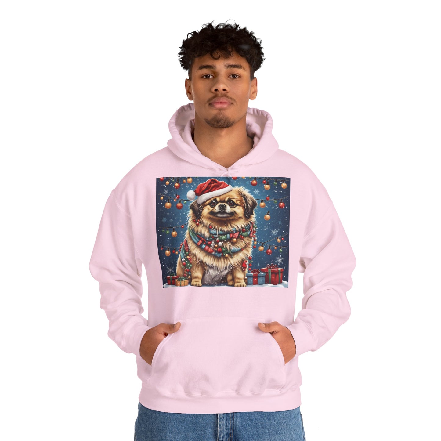 DAM BRAND PUPPY Xmas ed Hoodie S Series Limited