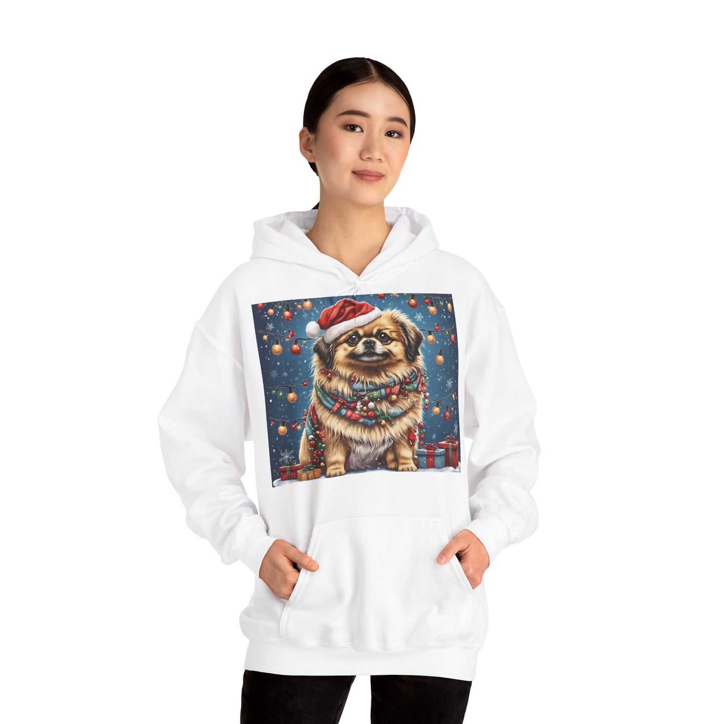 DAM BRAND PUPPY Xmas ed Hoodie S Series Limited