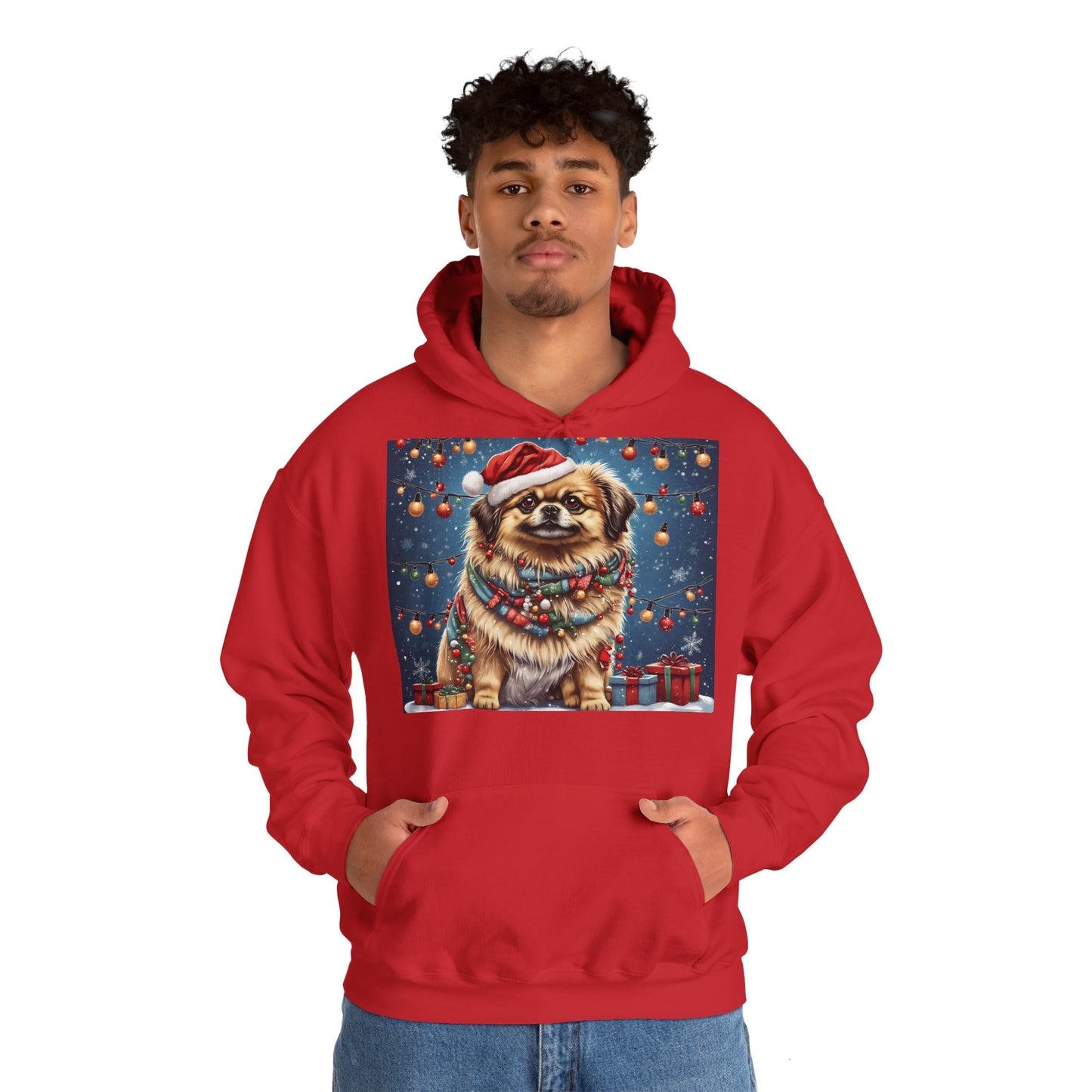 DAM BRAND PUPPY Xmas ed Hoodie S Series Limited