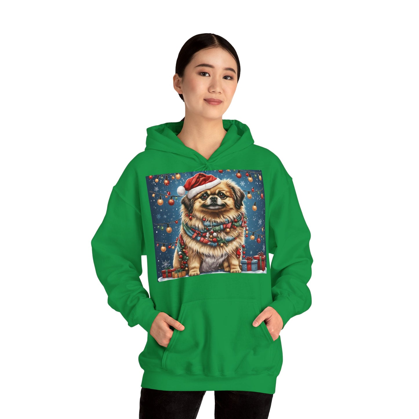 DAM BRAND PUPPY Xmas ed Hoodie S Series Limited