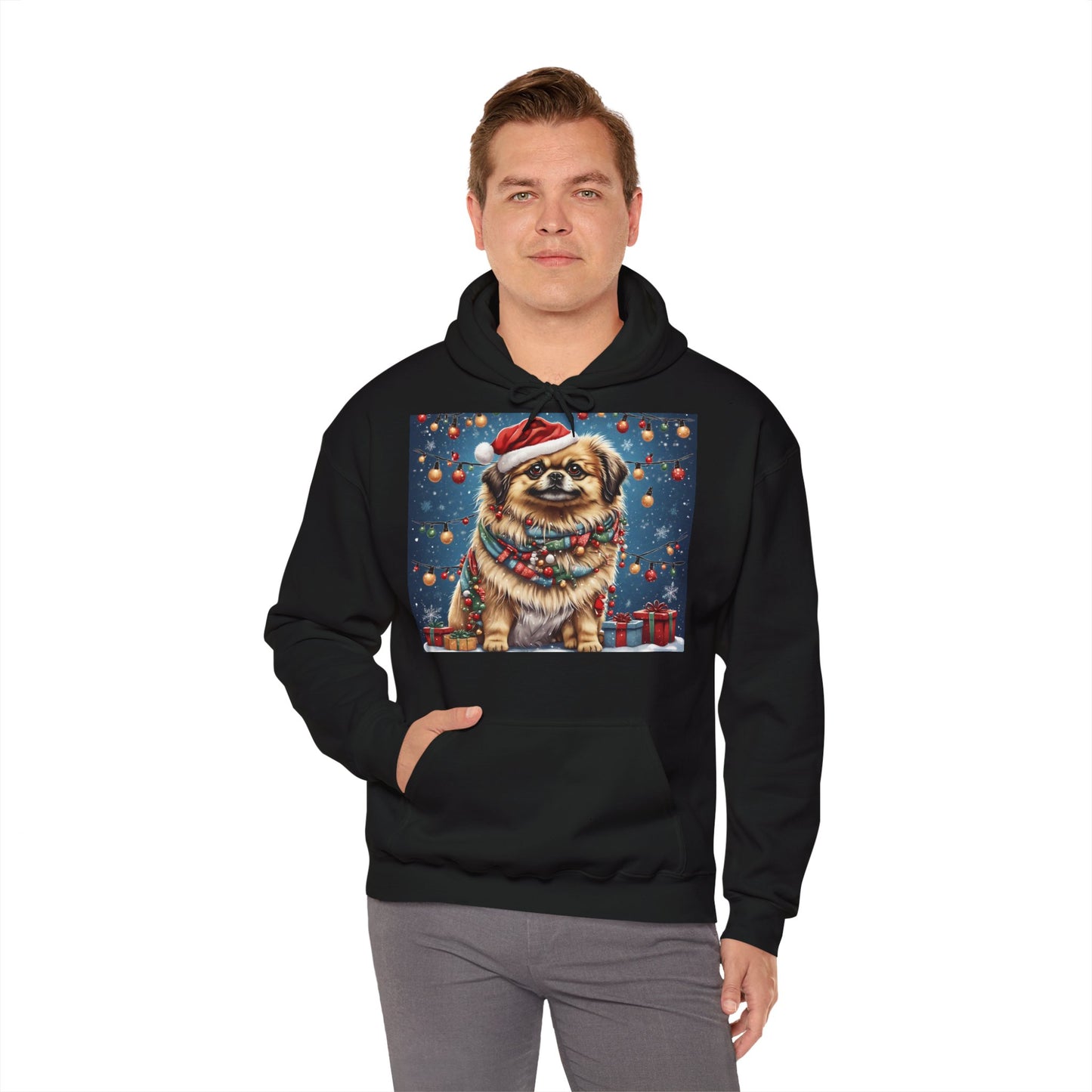 DAM BRAND PUPPY Xmas ed Hoodie S Series Limited