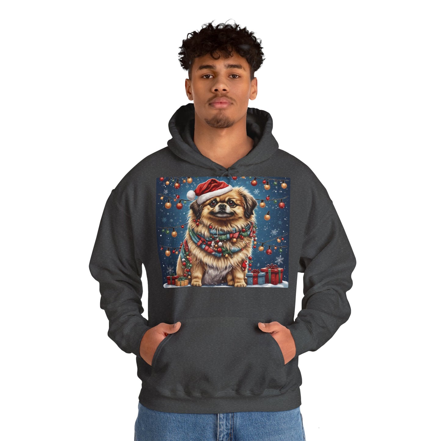 DAM BRAND PUPPY Xmas ed Hoodie S Series Limited