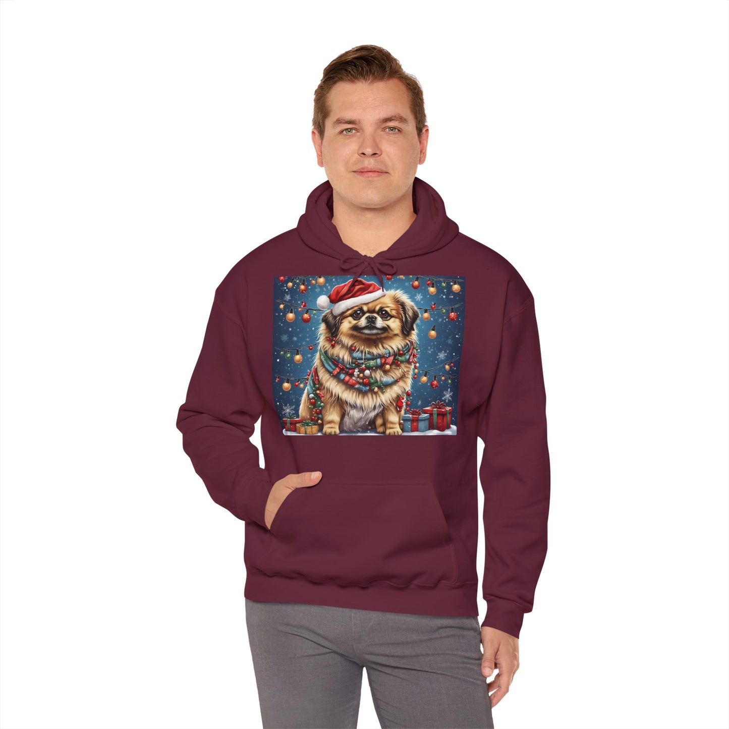 DAM BRAND PUPPY Xmas ed Hoodie S Series Limited