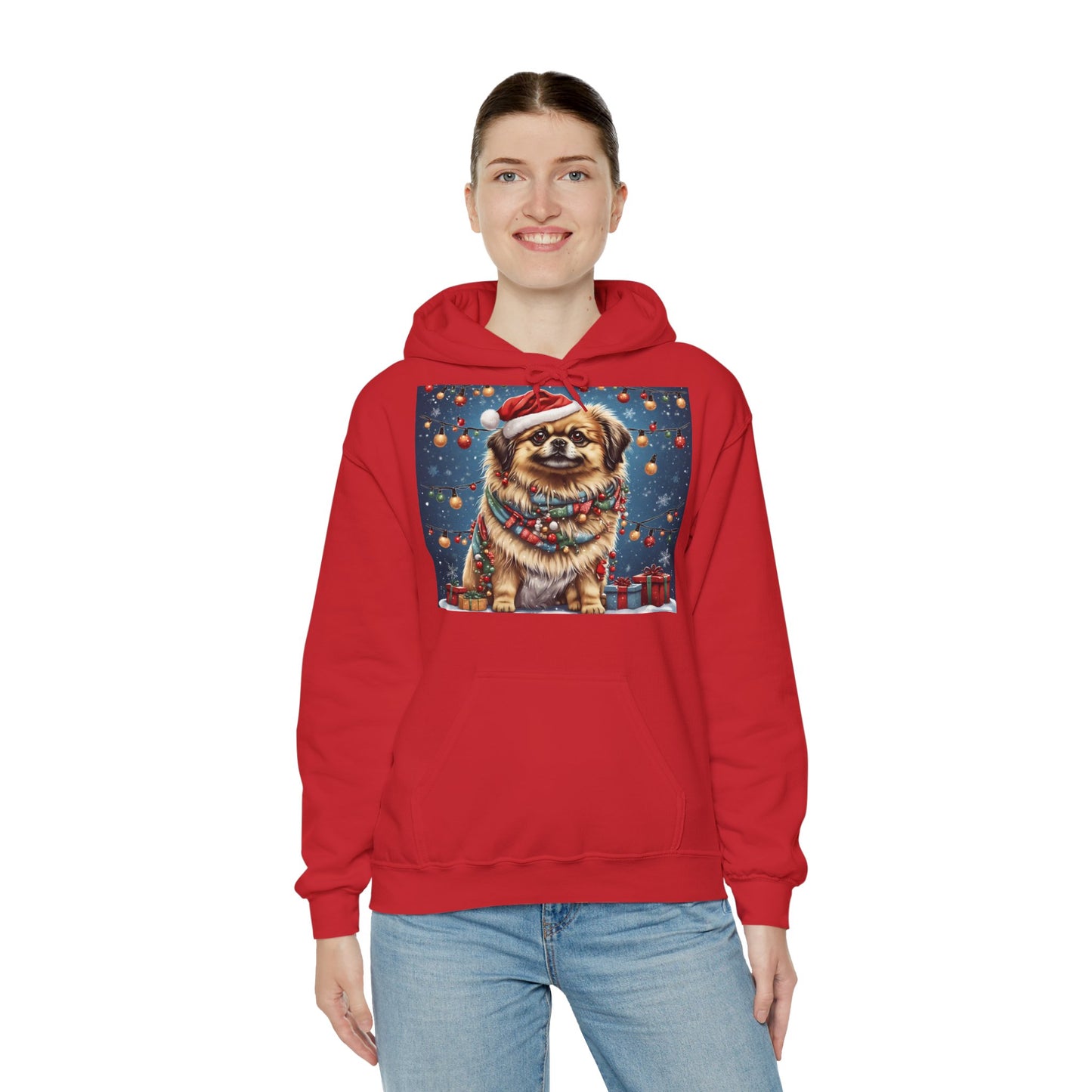 DAM BRAND PUPPY Xmas ed Hoodie S Series Limited