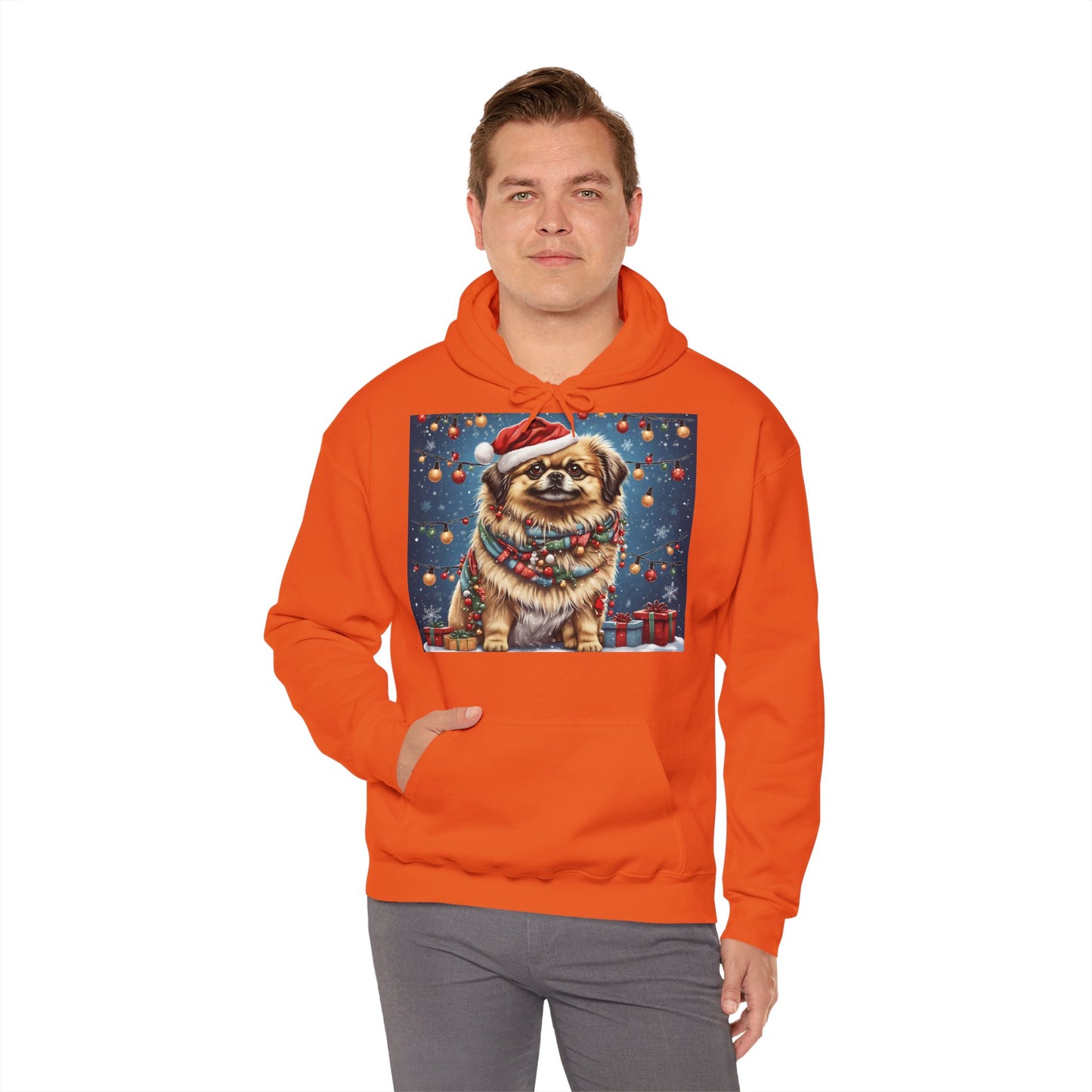 DAM BRAND PUPPY Xmas ed Hoodie S Series Limited