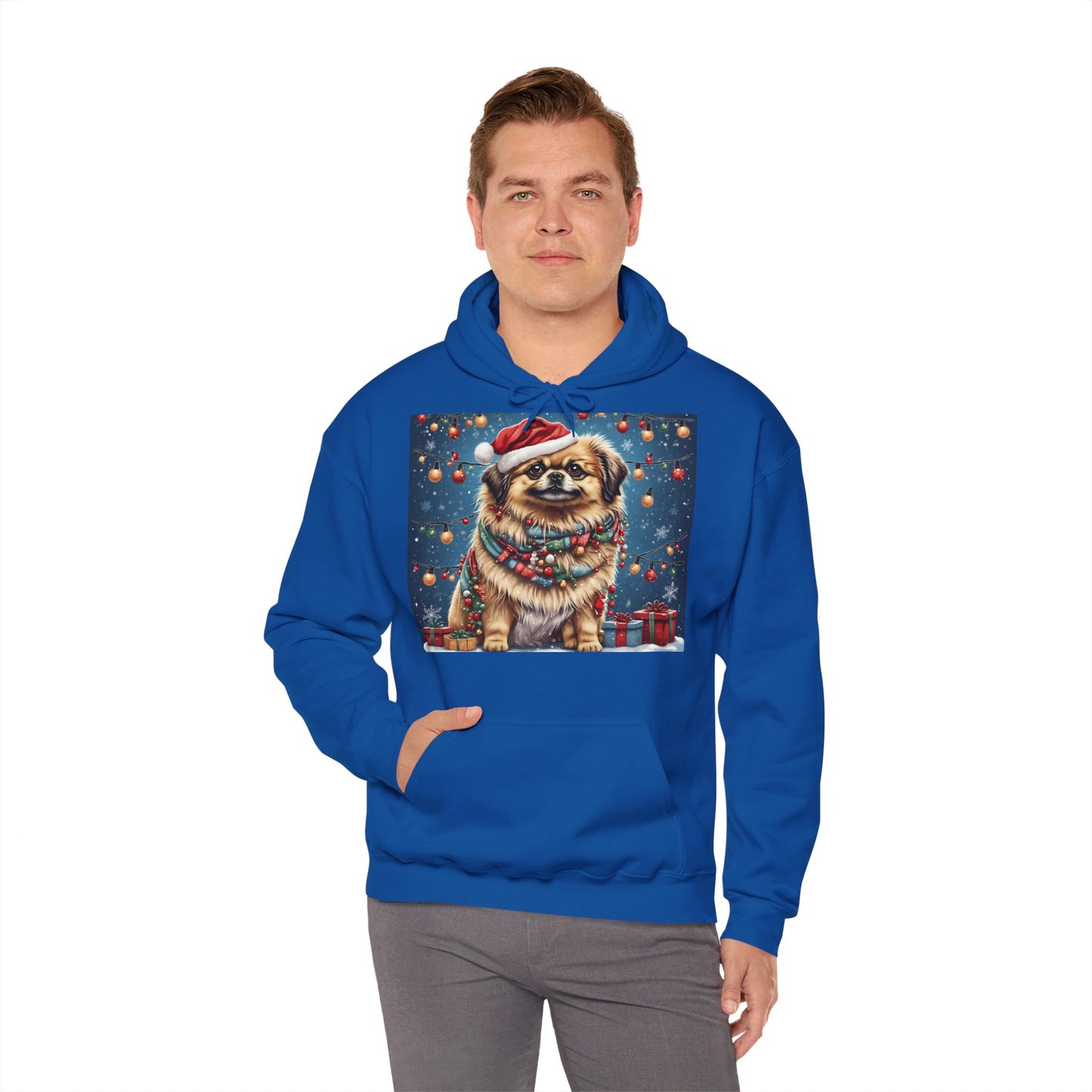 DAM BRAND PUPPY Xmas ed Hoodie S Series Limited