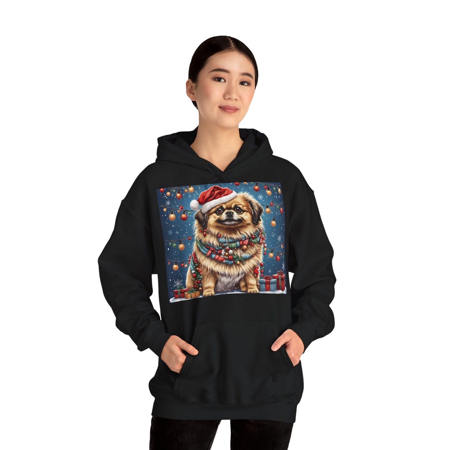 DAM BRAND PUPPY Xmas ed Hoodie S Series Limited