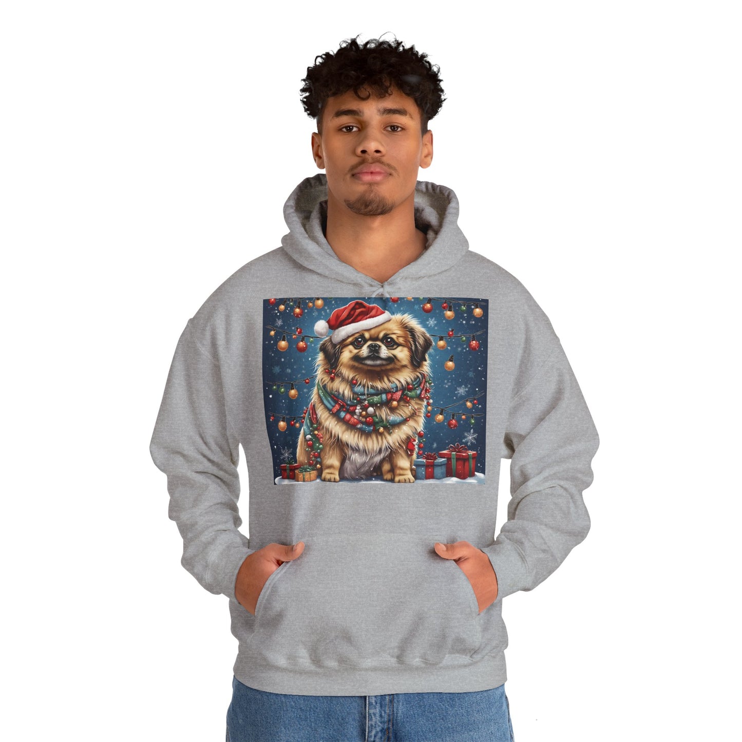 DAM BRAND PUPPY Xmas ed Hoodie S Series Limited