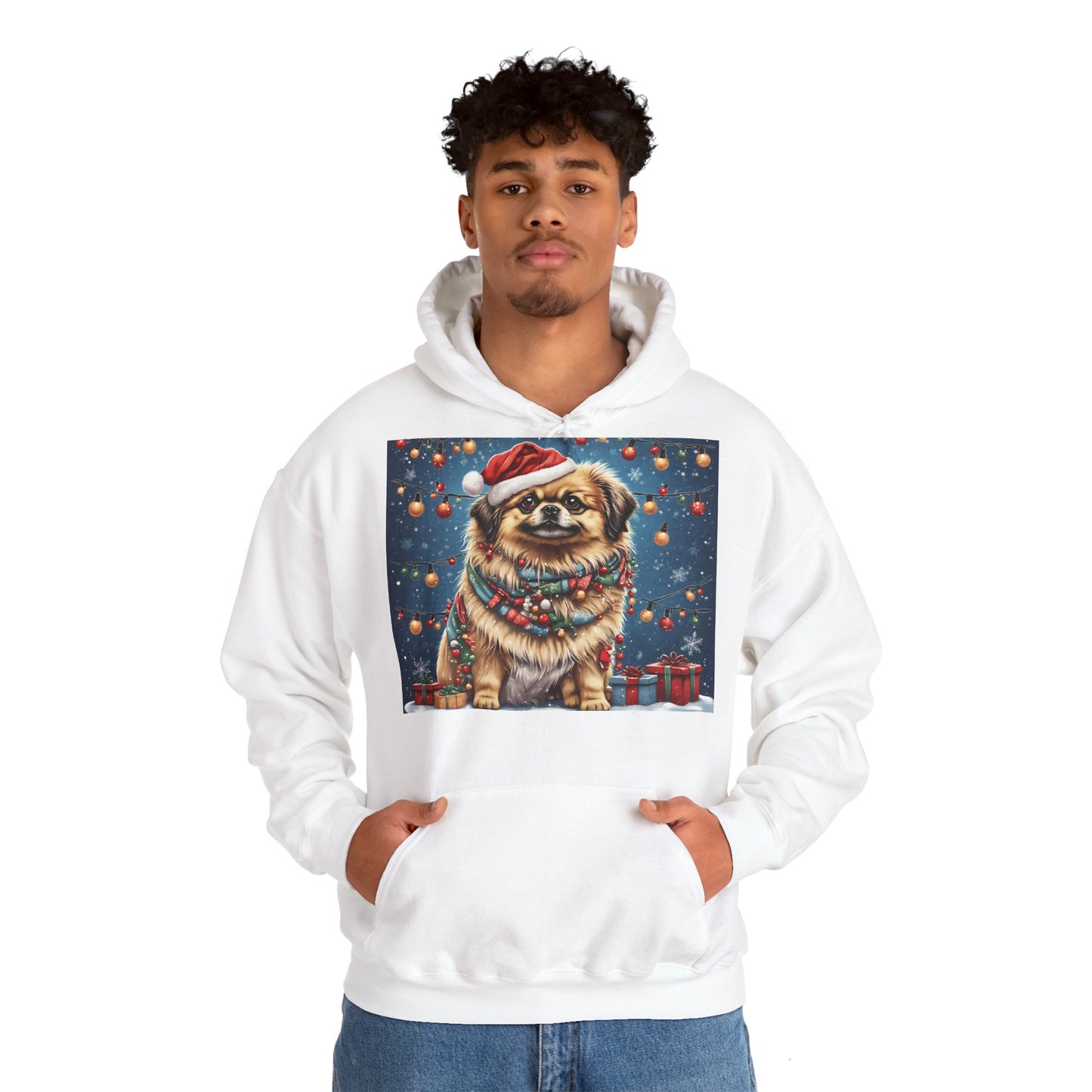 DAM BRAND PUPPY Xmas ed Hoodie S Series Limited